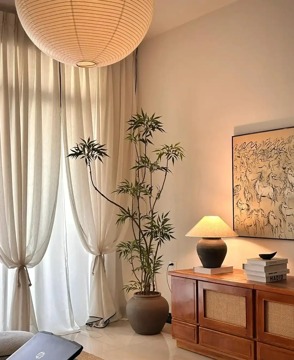 客廳見樹,十有九富!這10種樹「凹造型」絕了,一樹成景,太治癒