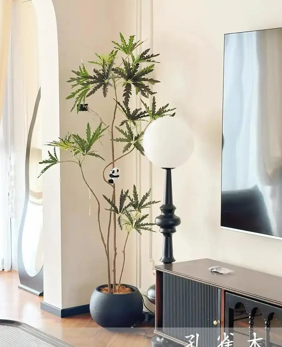客廳見樹,十有九富!這10種樹「凹造型」絕了,一樹成景,太治癒