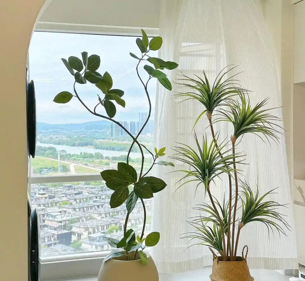 客廳見樹,十有九富!這10種樹「凹造型」絕了,一樹成景,太治癒