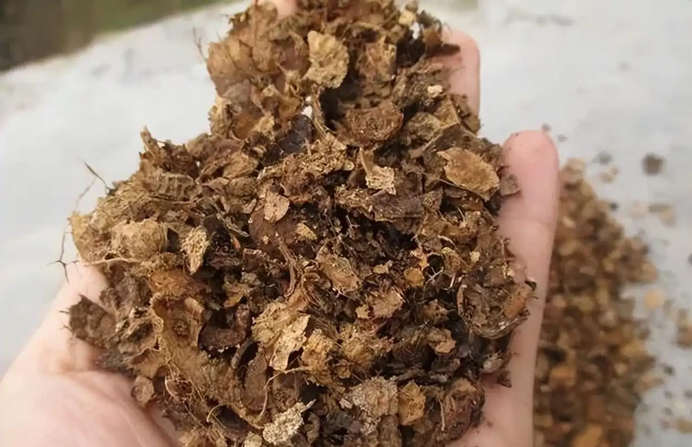 自制有機肥的5種方法