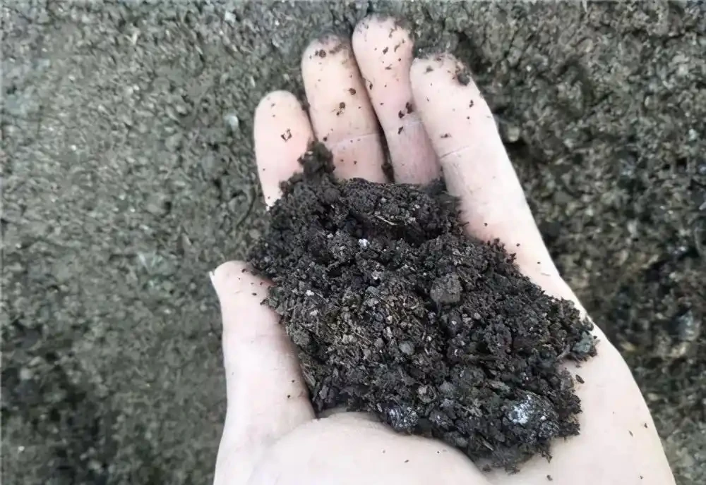 自制有機肥的5種方法