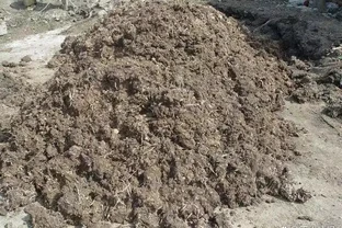 自制有機肥的5種方法