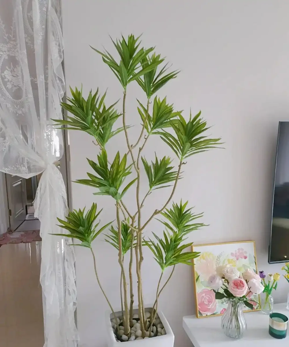 憑「實力」走紅的10種樹,養在「客廳」真哇塞,難怪網友喜歡
