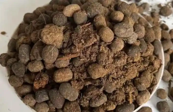 養花施肥，其實沒那麼複雜！備好這3種肥料，花開葉茂少操心