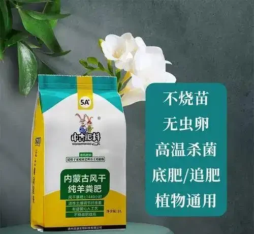 冬季養花怎麼施肥?園藝師教你,用風乾純羊糞肥持久更溫和