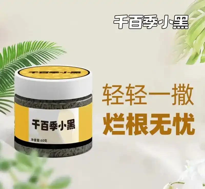 養花如何預防植物出現腐根?園藝師教你,使用千百季小黑解決它!
