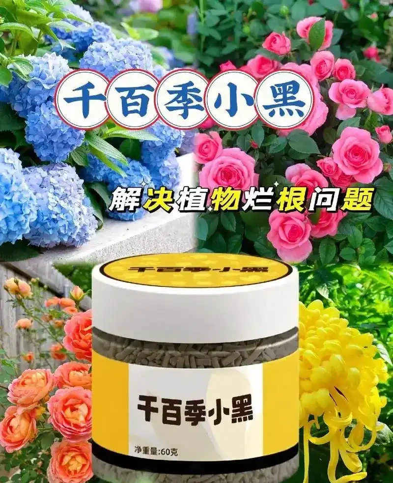 養花如何預防植物出現腐根?園藝師教你,使用千百季小黑解決它!