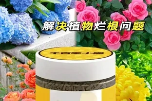 養花如何預防植物出現腐根？園藝師教你，使用千百季小黑解決它！