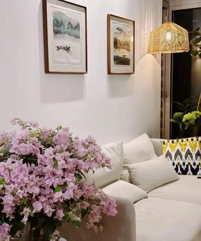 「客廳見花,十有九發」,客廳必養的6種花,寓意家庭興旺發達!
