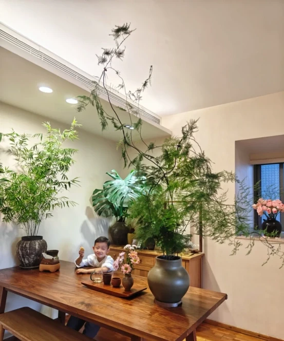 「客廳見花,十有九發」,客廳必養的6種花,寓意家庭興旺發達!