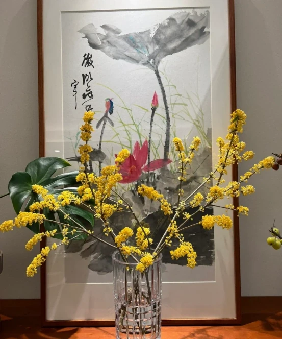 「客廳見花,十有九發」,客廳必養的6種花,寓意家庭興旺發達!