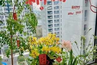 「客廳見花，十有九發」，客廳必養的6種花，寓意家庭興旺發達！