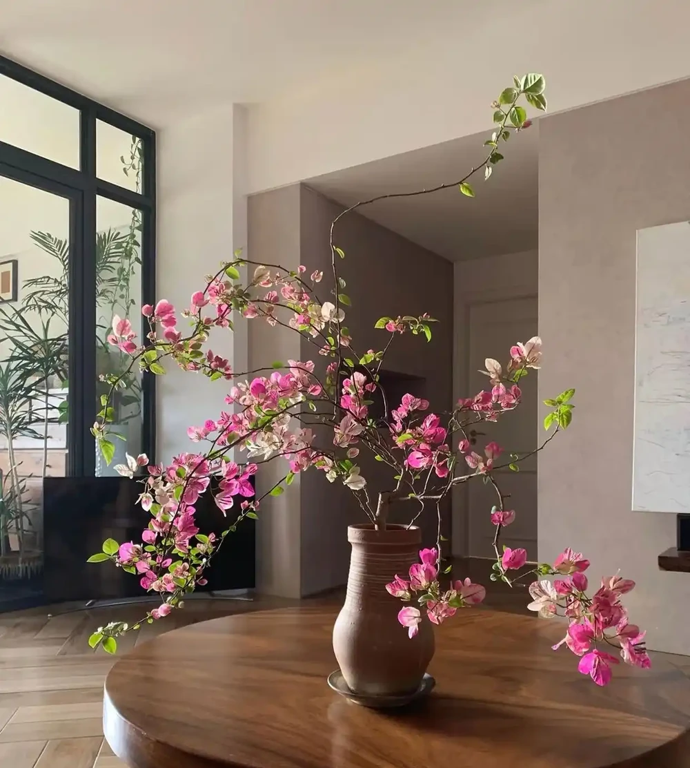 6種公認的「鎮宅花」,養在客廳一花成景,人見人誇,絕了
