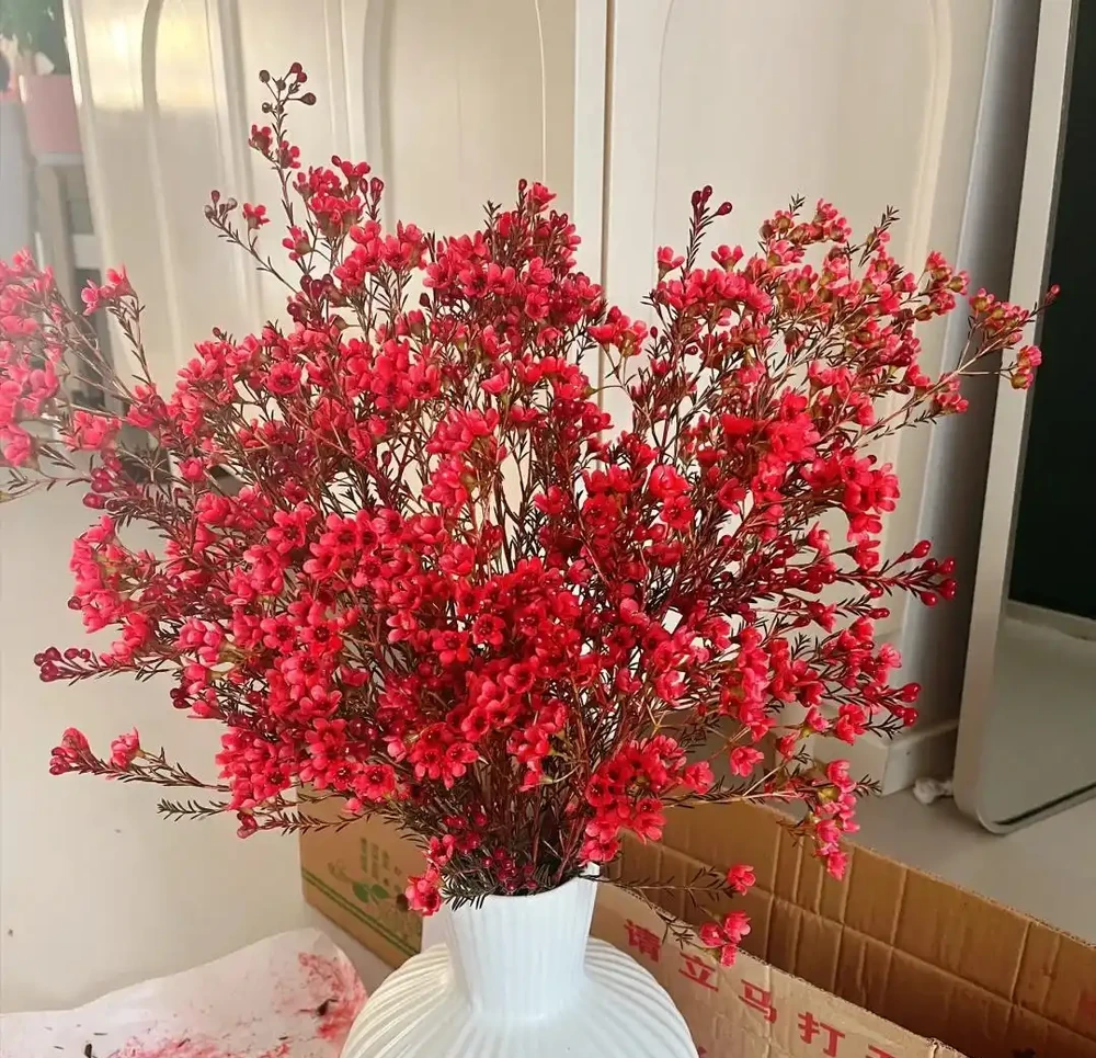 4種「耐寒花」,冬天千萬「別搬進屋」,狠心凍一凍才能順利開花