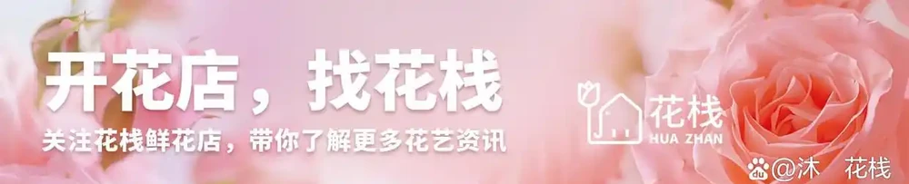 不愧是全網嚴選!花店最受歡迎的12種玫瑰,點單率爆表!