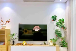 客廳電視機櫃旁擺啥綠植好？「八方來財」最合適，別緻又高階