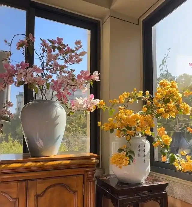 18種漂亮花，適合小盆養，盆越小狀態越好，趕快試試吧