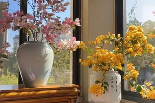 18種漂亮花，適合小盆養，盆越小狀態越好，趕快試試吧