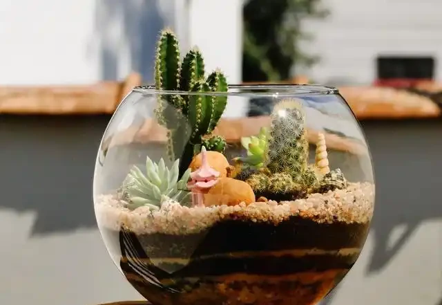 20 個室內植物裝飾技巧