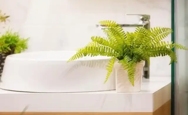 20 個室內植物裝飾技巧