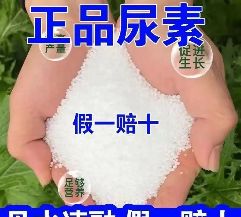 尿素