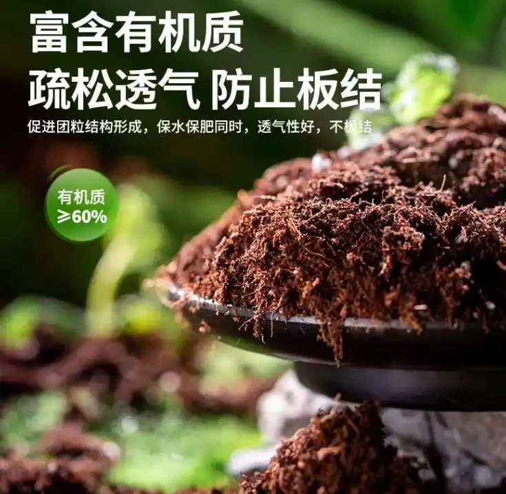 養蘭花用什麼土最好?推薦三種土養蘭花,苗壯、根肥、花多
