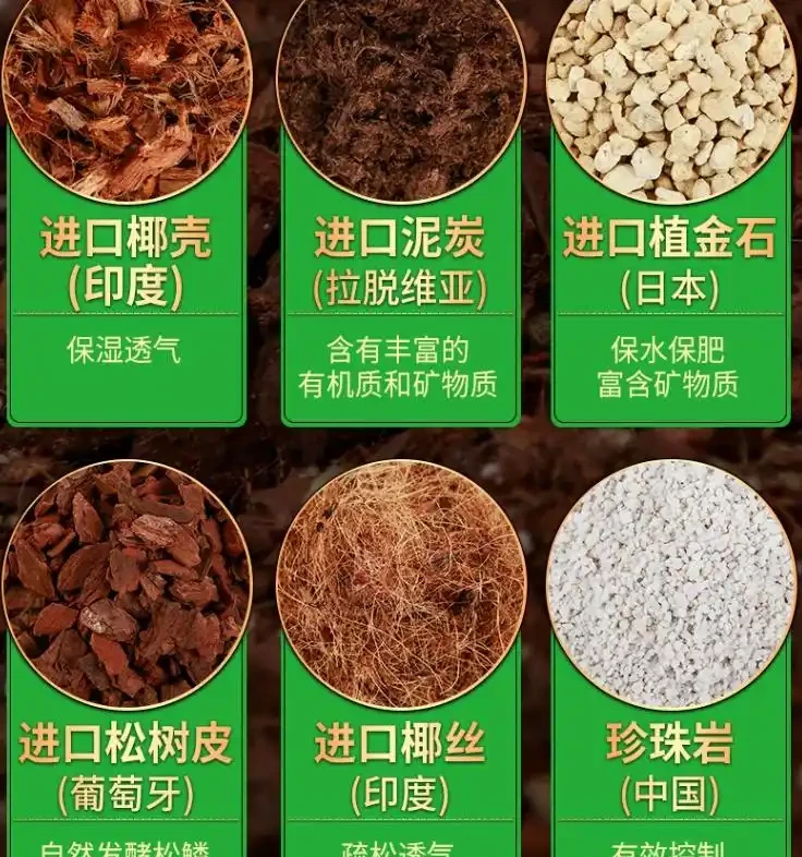 養蘭花用什麼土最好?推薦三種土養蘭花,苗壯、根肥、花多