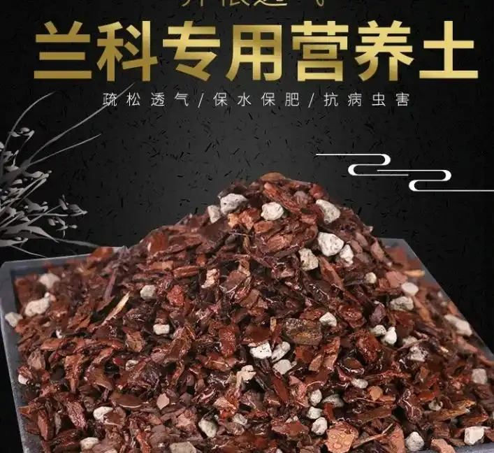 養蘭花用什麼土最好?推薦三種土養蘭花,苗壯、根肥、花多