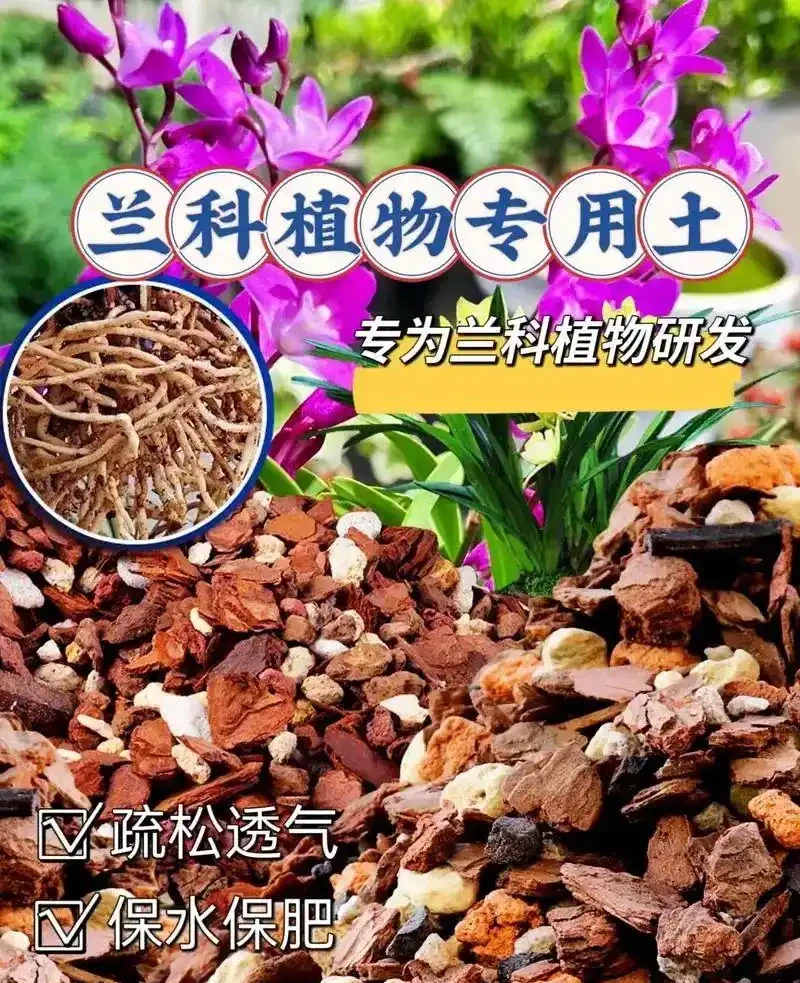 養蘭花用什麼樣的土壤呢?園藝師教你,用蘭科植物專用土乾淨透氣