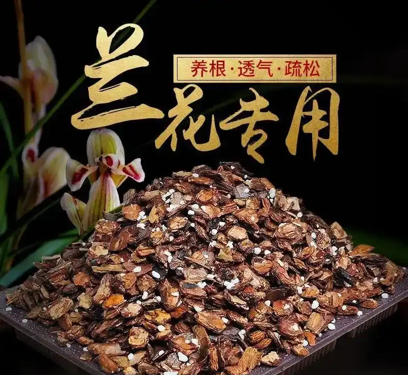 養蘭花用什麼樣的土壤呢?園藝師教你,用蘭科植物專用土乾淨透氣