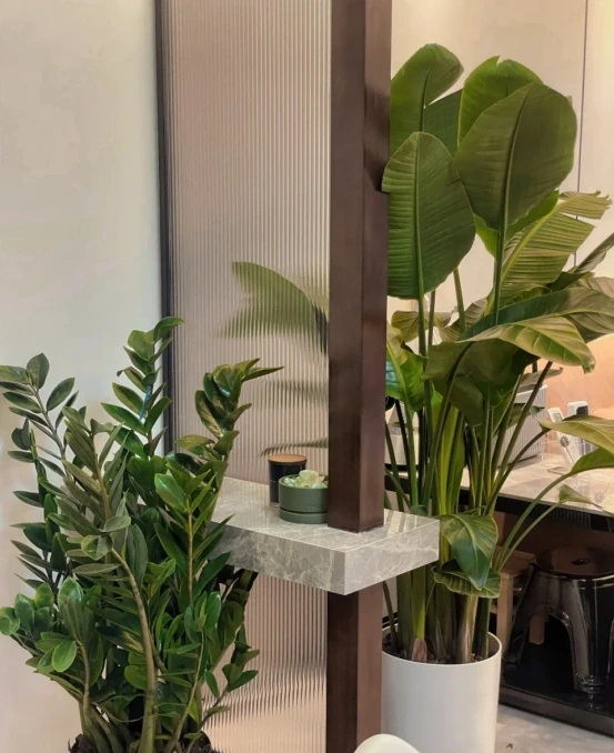 5種「最好養」的花，沒陽光也可以活，顏值、耐寒性都碾壓黃金葛