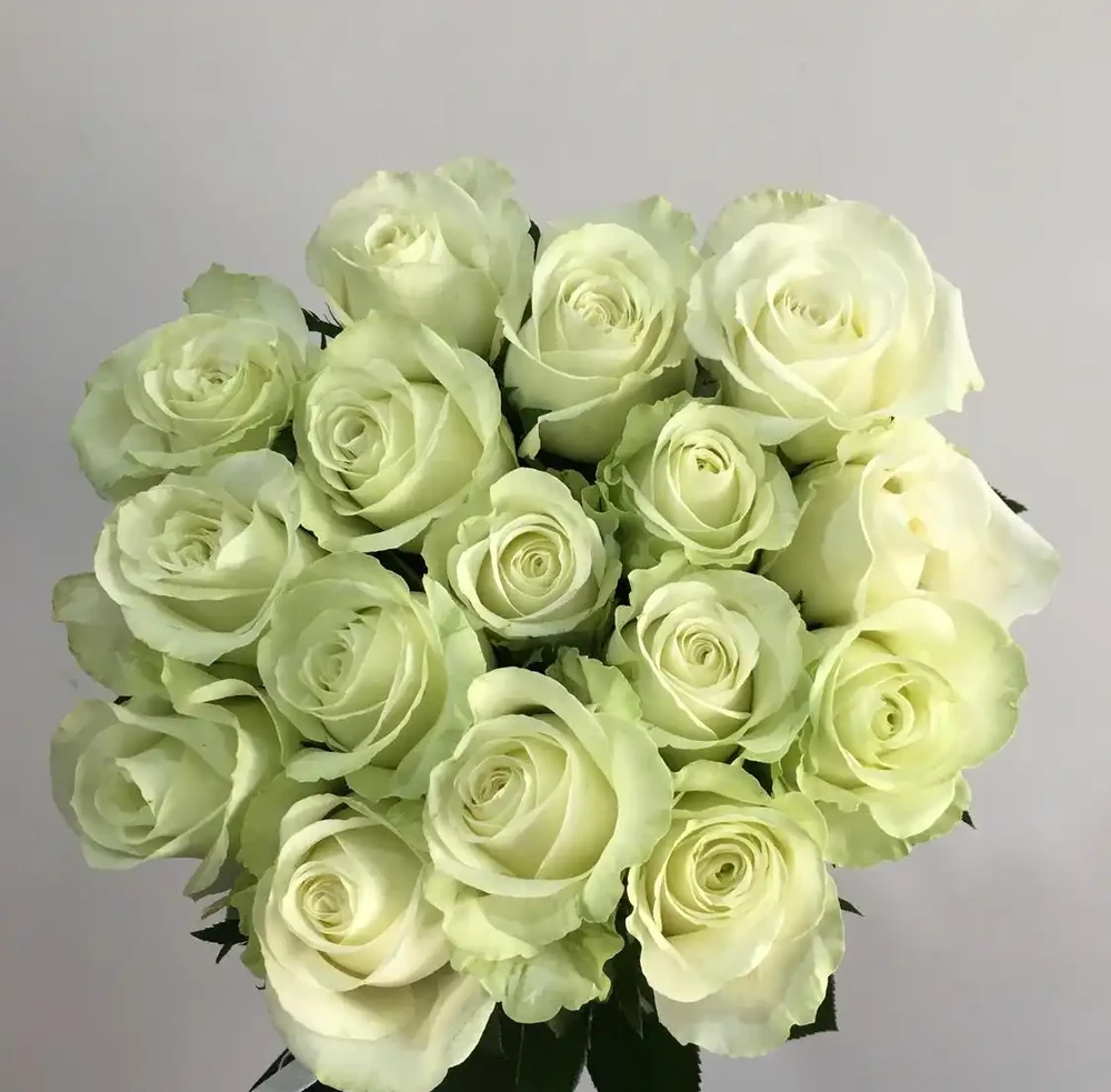 十大 較貴的玫瑰花品種