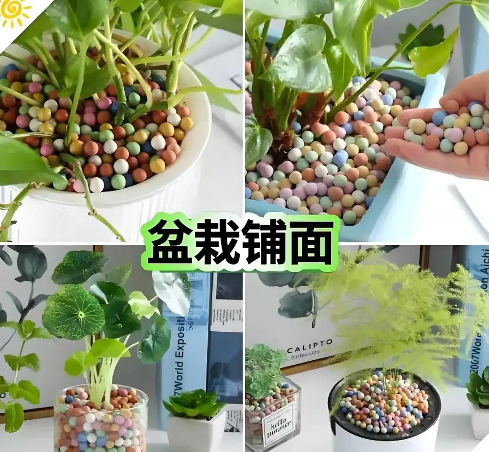 養的盆栽表面不美觀怎麼辦？園藝師教你，彩色發泡煉石鋪面美觀防飛濺