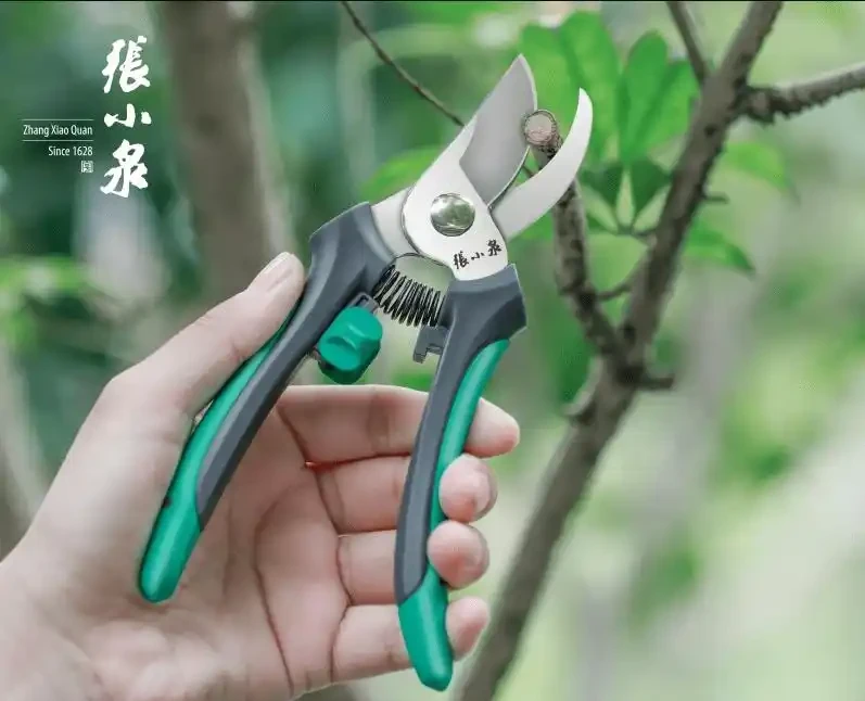 修剪工具消毒