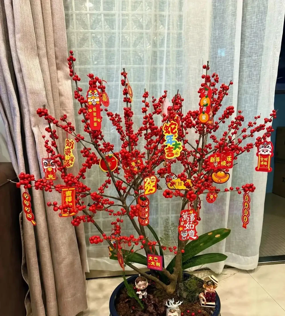 「毒花進家門,富貴難來臨」,家裡別養4類「毒花」,花旺人不旺