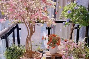 「毒花進家門，富貴難來臨」，家裡別養4類「毒花」，花旺人不旺