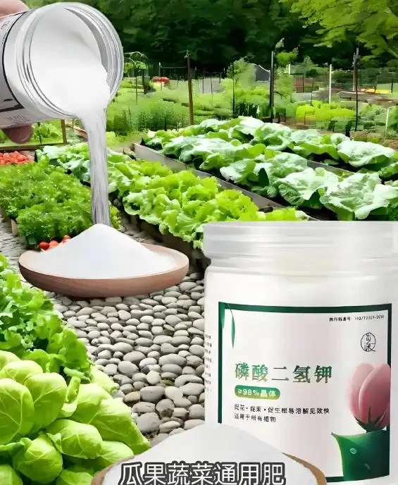 十大最佳養花肥料,助你花卉茁壯成長,花開繁茂!