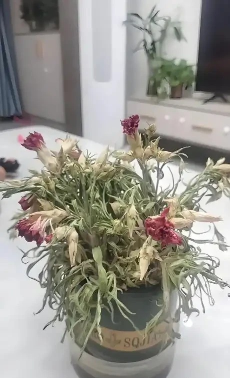 別扔!枯萎的花還能起死回生