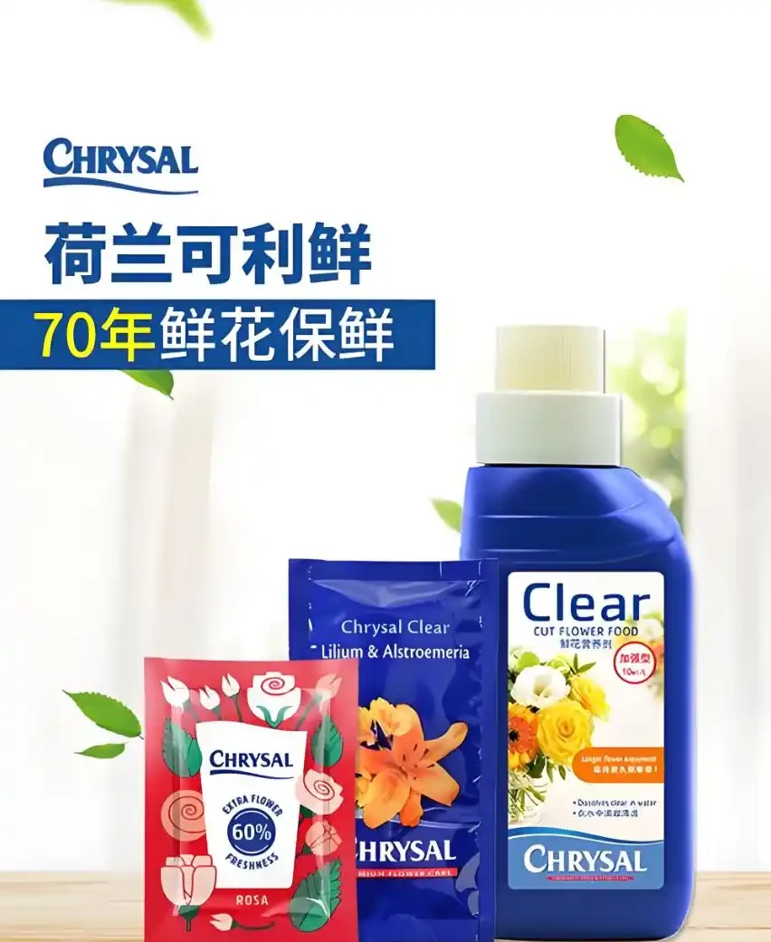 水耕鮮花養護技巧:如何讓鮮花更旺盛