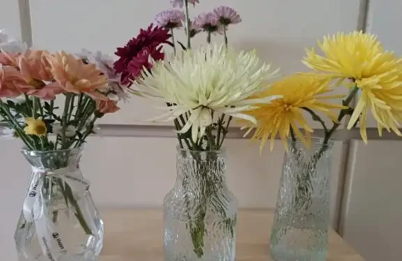 水耕鮮花養護技巧:如何讓鮮花更旺盛