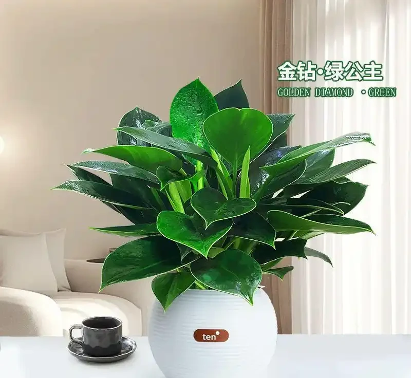 溫度與溼度