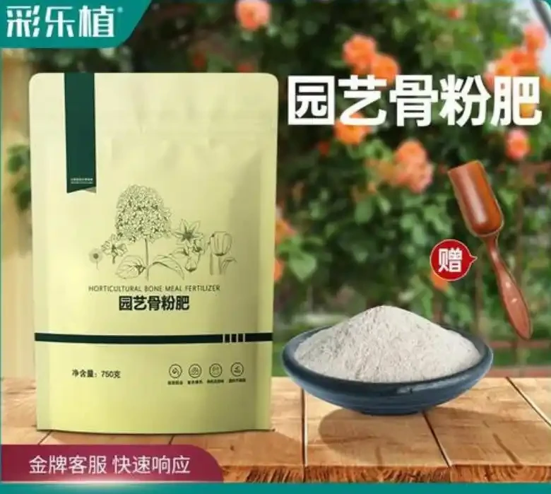 新手第一次養玫瑰怎麼做?做好這7點,享受養花的樂趣