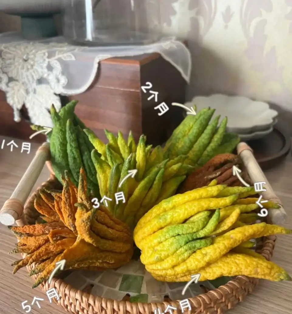 適合養在家裡的5種花,花旺人也旺,並非迷信,建議養一盆!