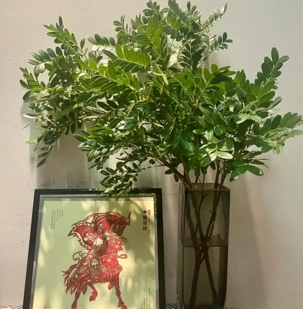 適合養在家裡的5種花,花旺人也旺,並非迷信,建議養一盆!