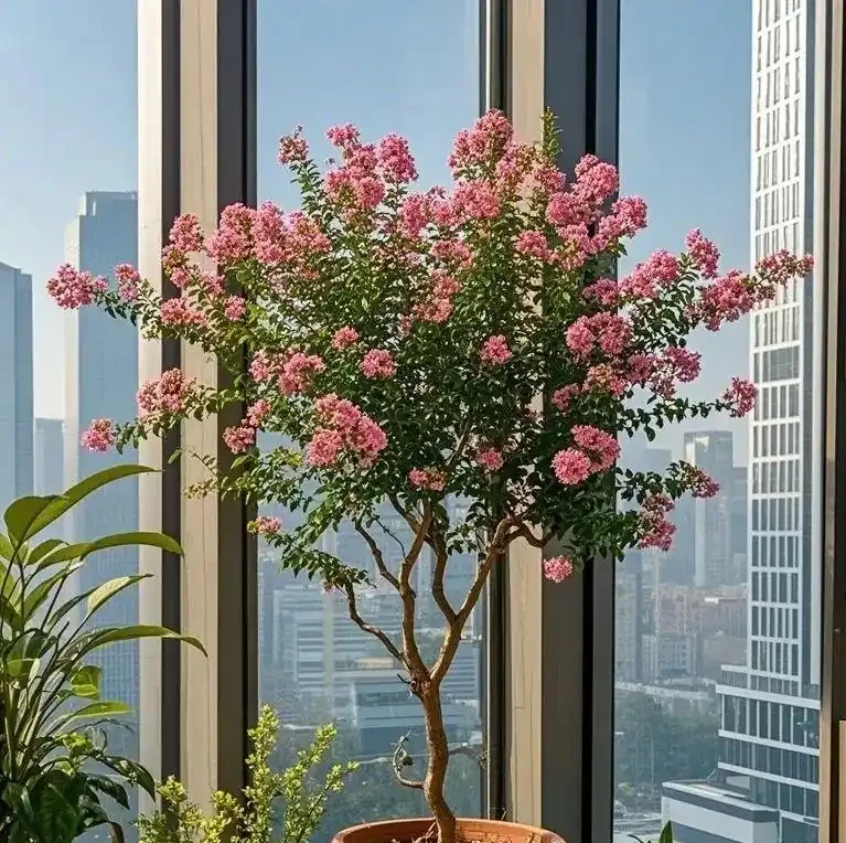 4種「招財花」養人還旺家,最高能活上百年,堪稱「鎮宅之寶」