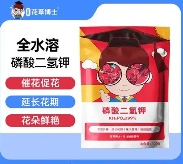 讓茶花在家中盛放的養護秘籍——從葉片油亮到花滿枝頭的全程指南