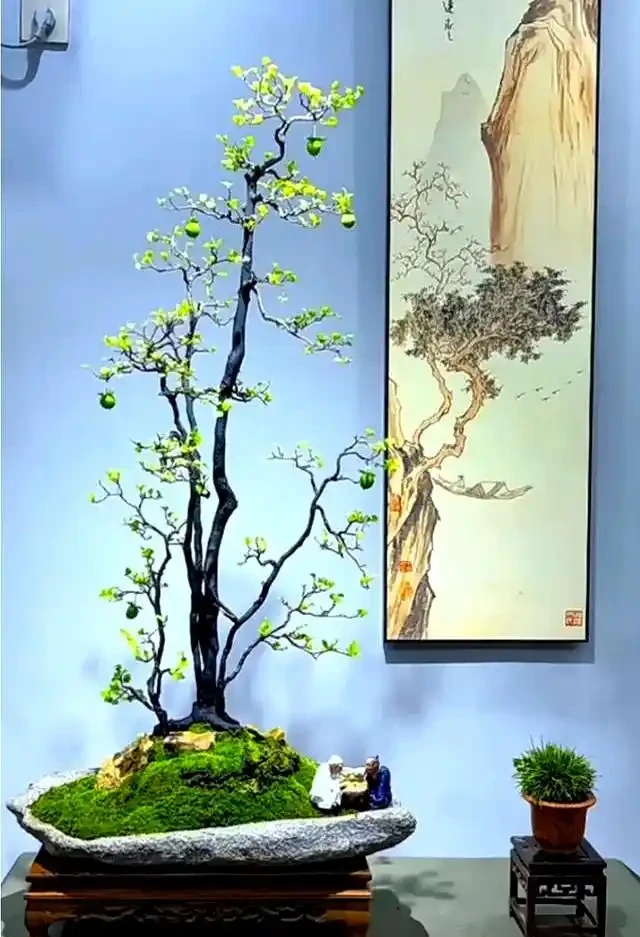 金彈子盆景春季養護管理要點及實踐經驗分享