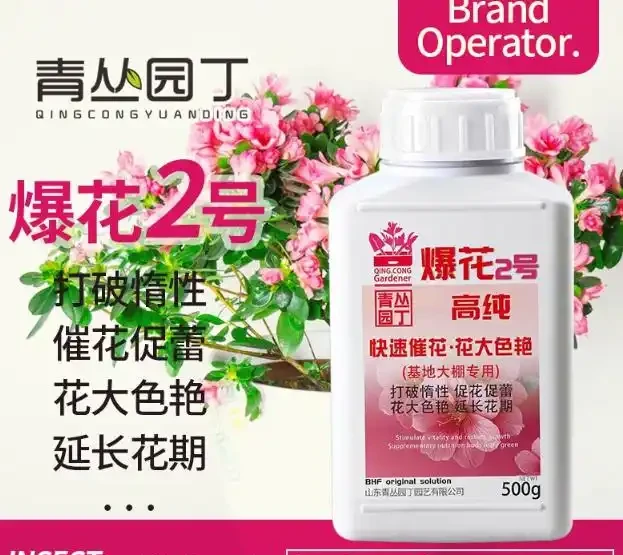 7種高顏值花卉,陽臺變身「迷你花園」,365天花影搖曳不歇