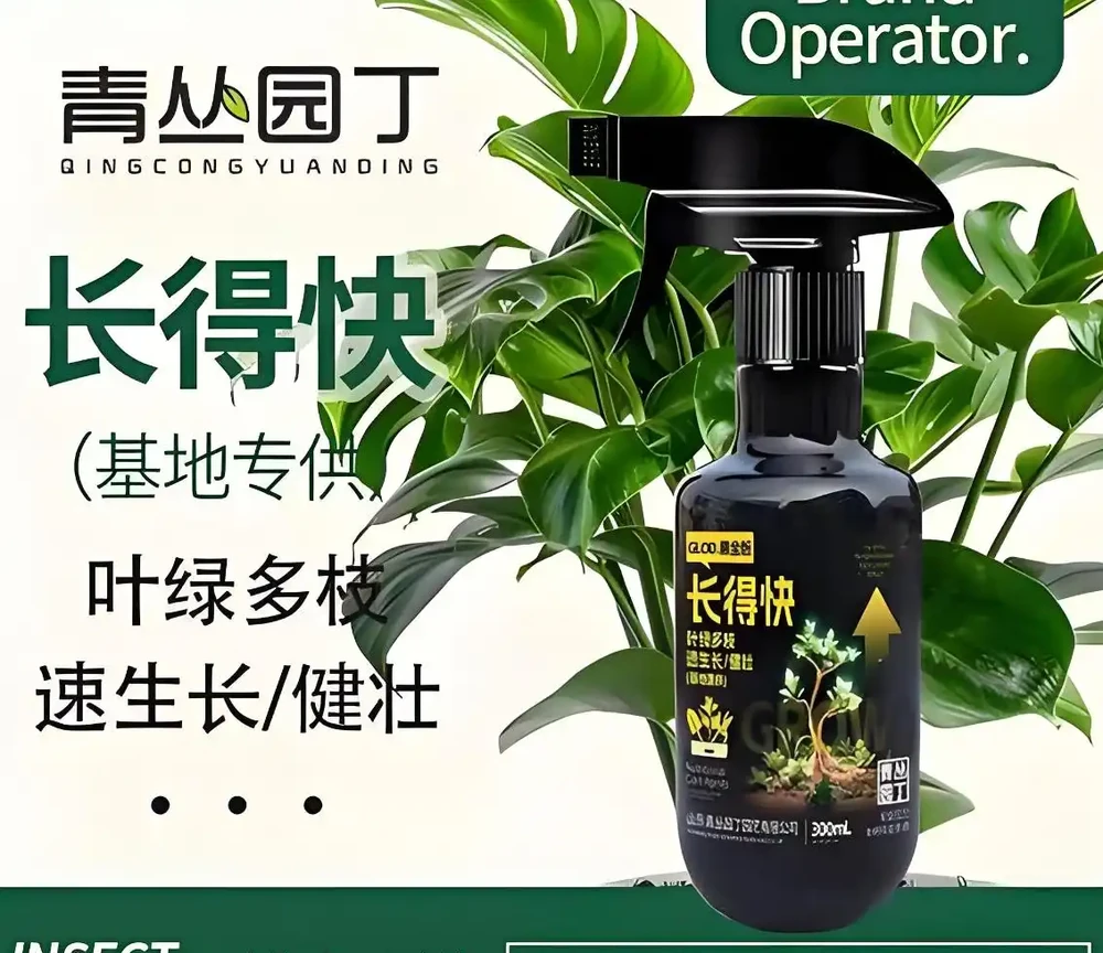 6種耐陰綠植:室內角落變森林的「暗夜精靈」