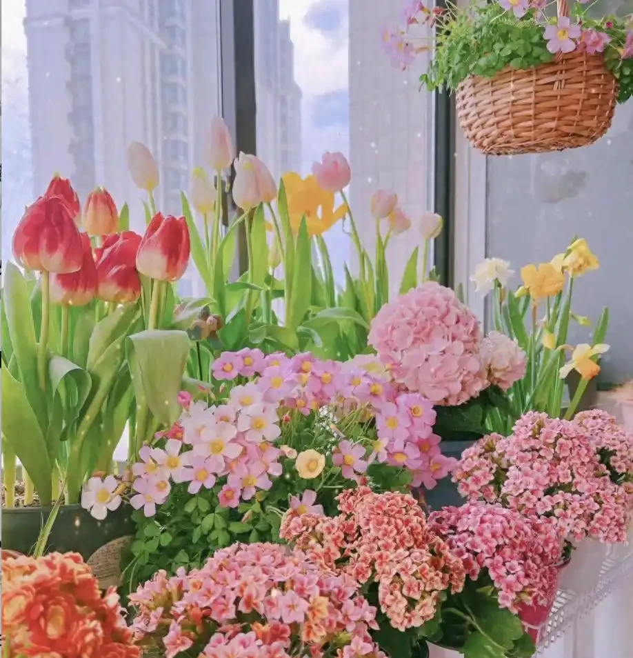 6種「耐寒花」,冬日挺立成「寶樹」,春風一吹雪花紛飛!